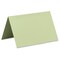 Arturo Folded Card - 7-3/4" x 11-3/4", Celadon, Large Invitation, Package of 100